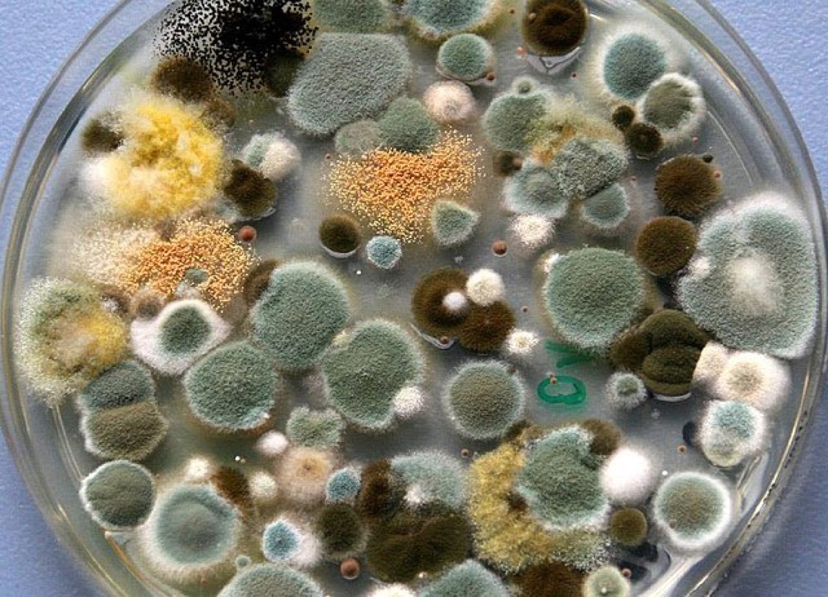 Advanced Clean Air Solutions — photo 1