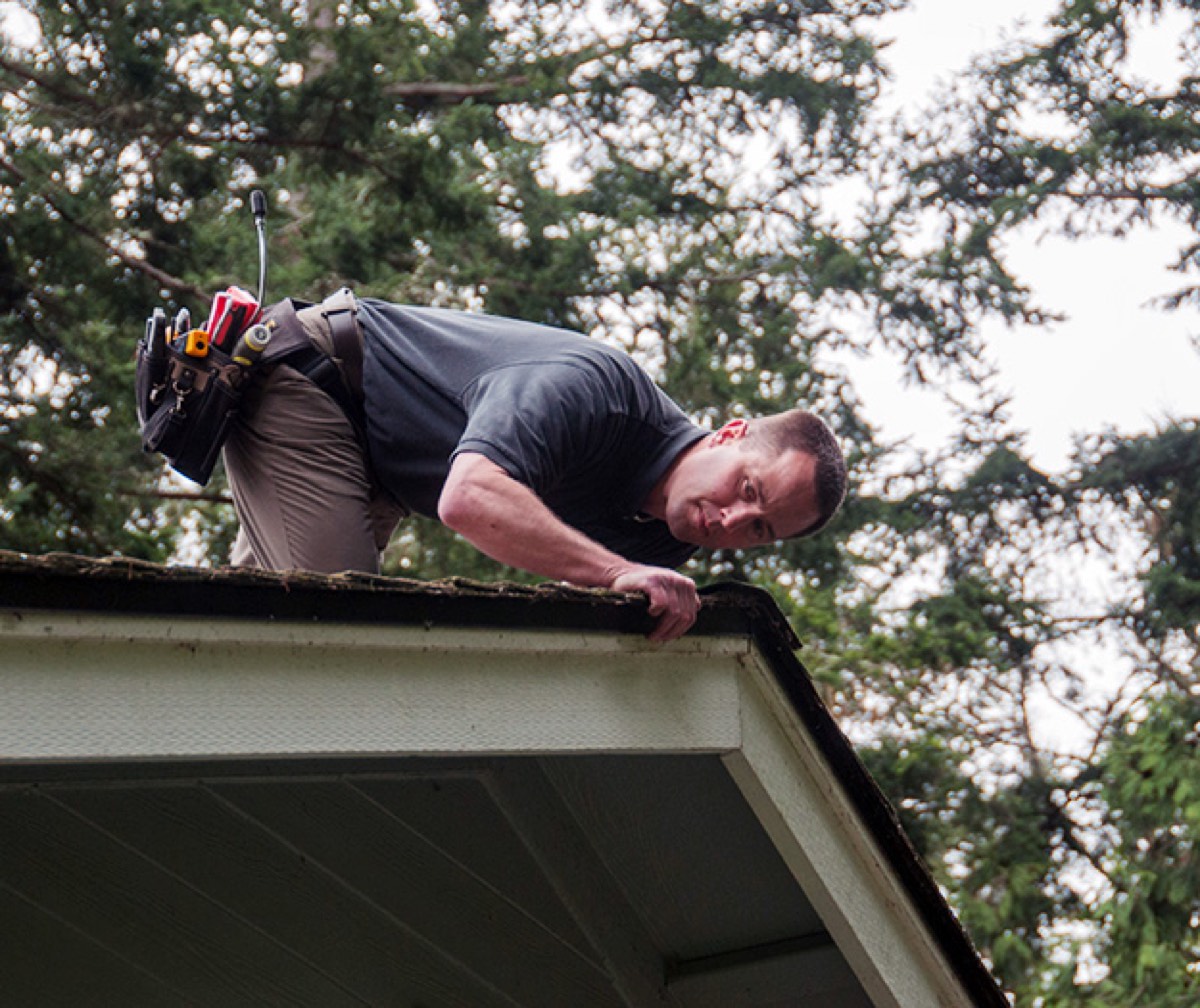 All Islands Home Inspections — photo 1