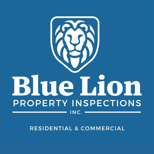 Blue Lion Property Inspections Inc. — photo 3