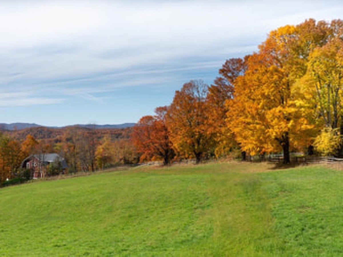 Champlain Valley Home Inspection — photo 3