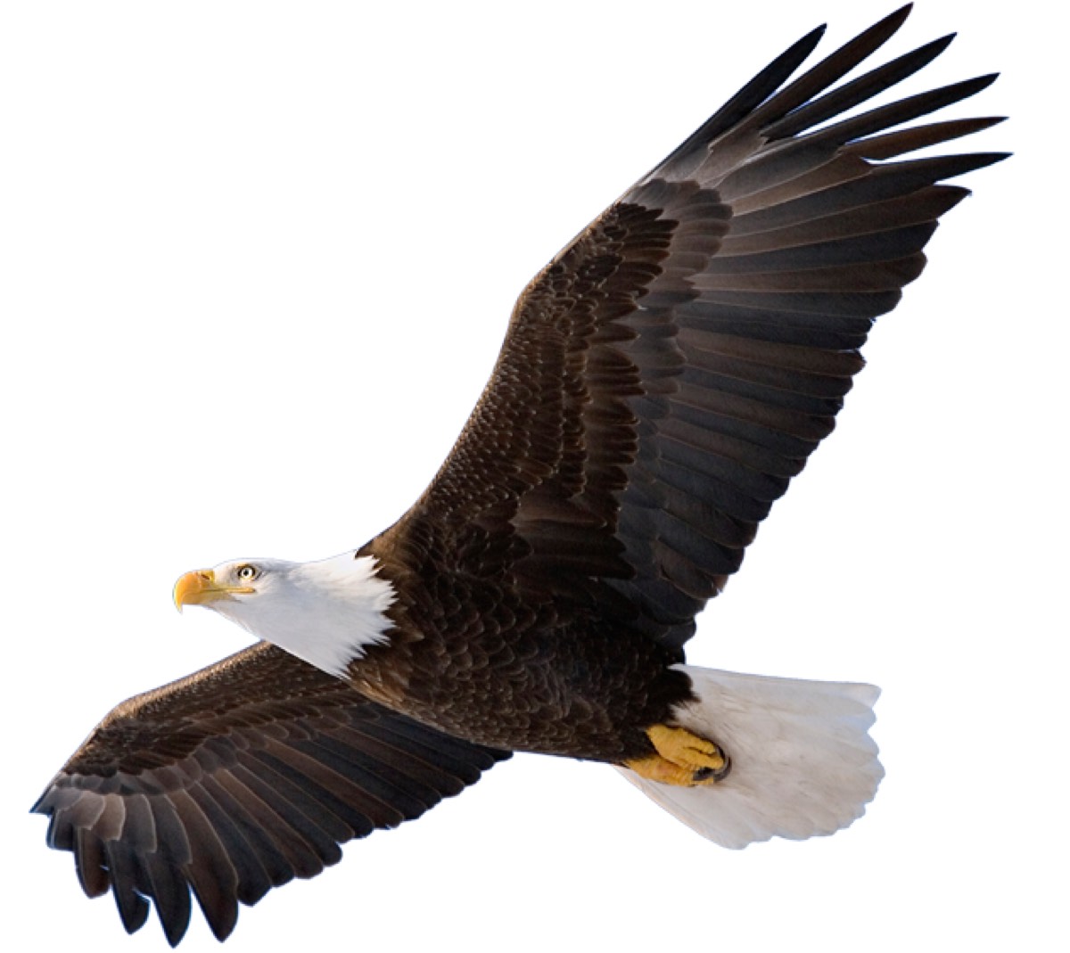 Eagle Home Inspections — photo 2