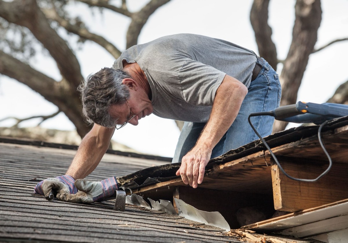 Eagle Inspections — photo 1