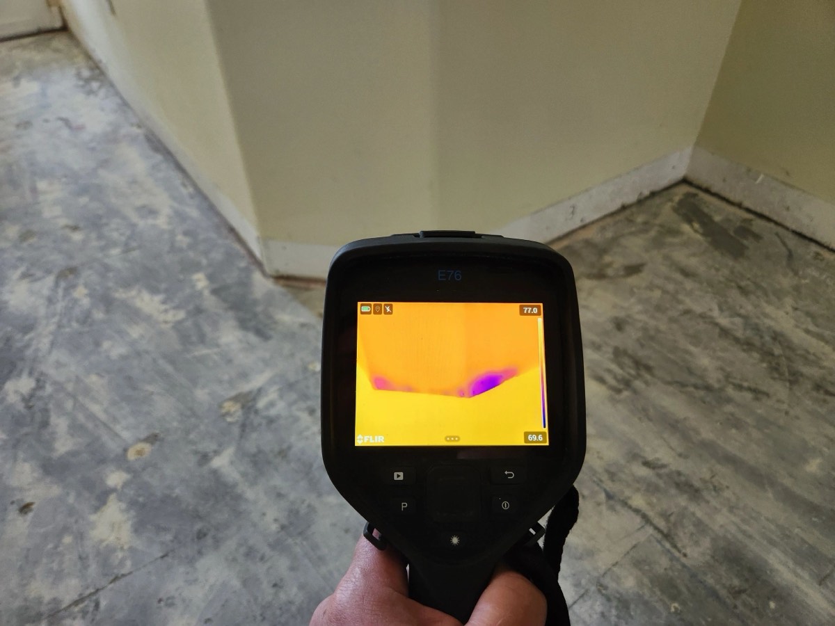 Florida Mold Detection / Korr & Company LLC — photo 1