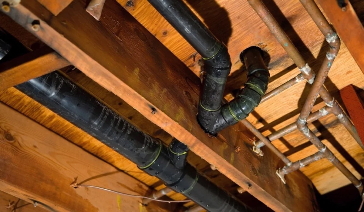 Green House Home Inspection — photo 1
