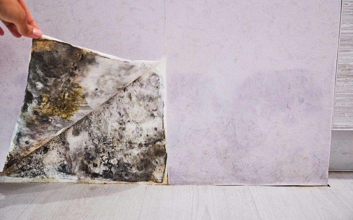 Guaranteed Property and Mold Inspection — photo 1
