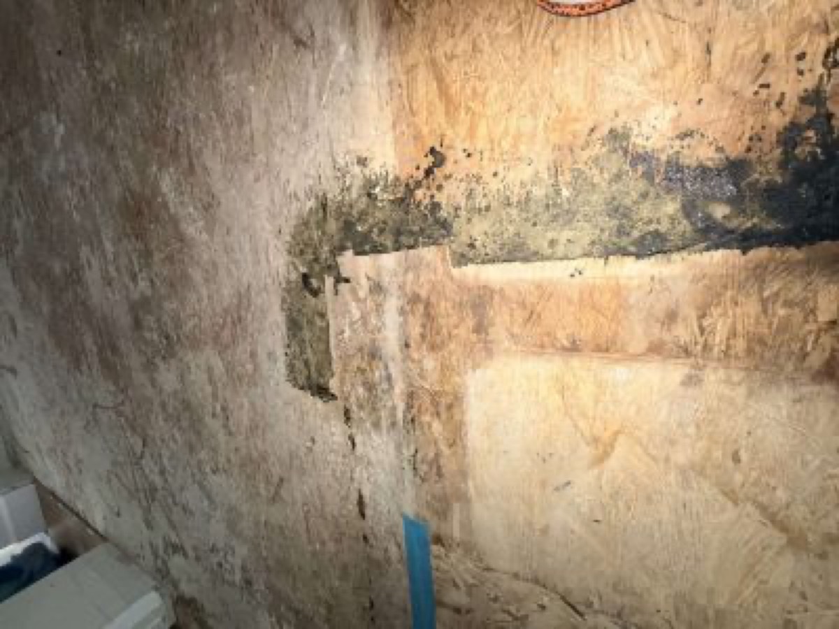 Guaranteed Property and Mold Inspection — photo 3