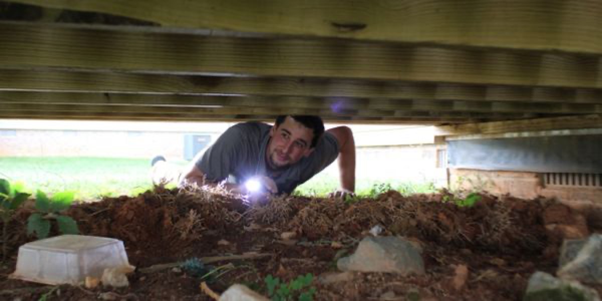 Heads Up Home Inspection — photo 2