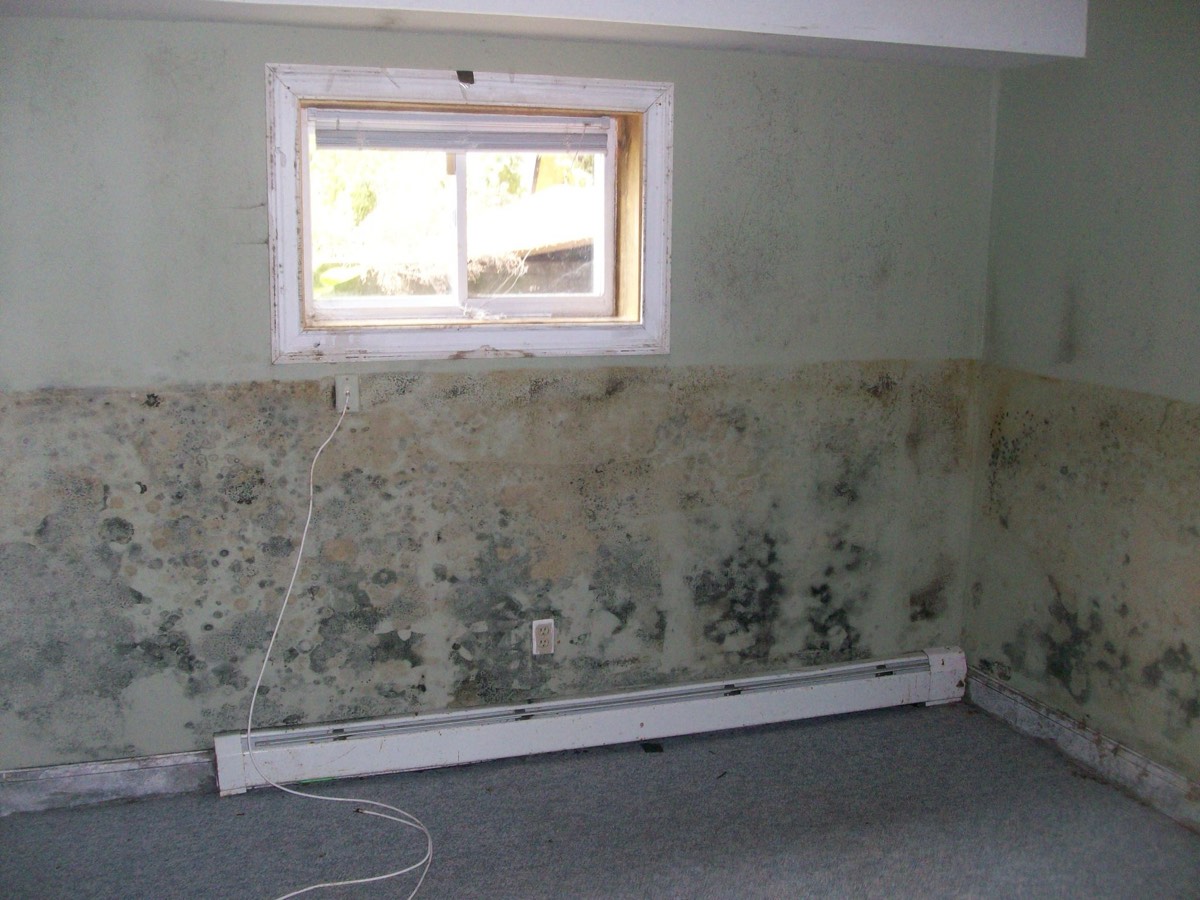 Home Inspection Services, Inc — photo 2