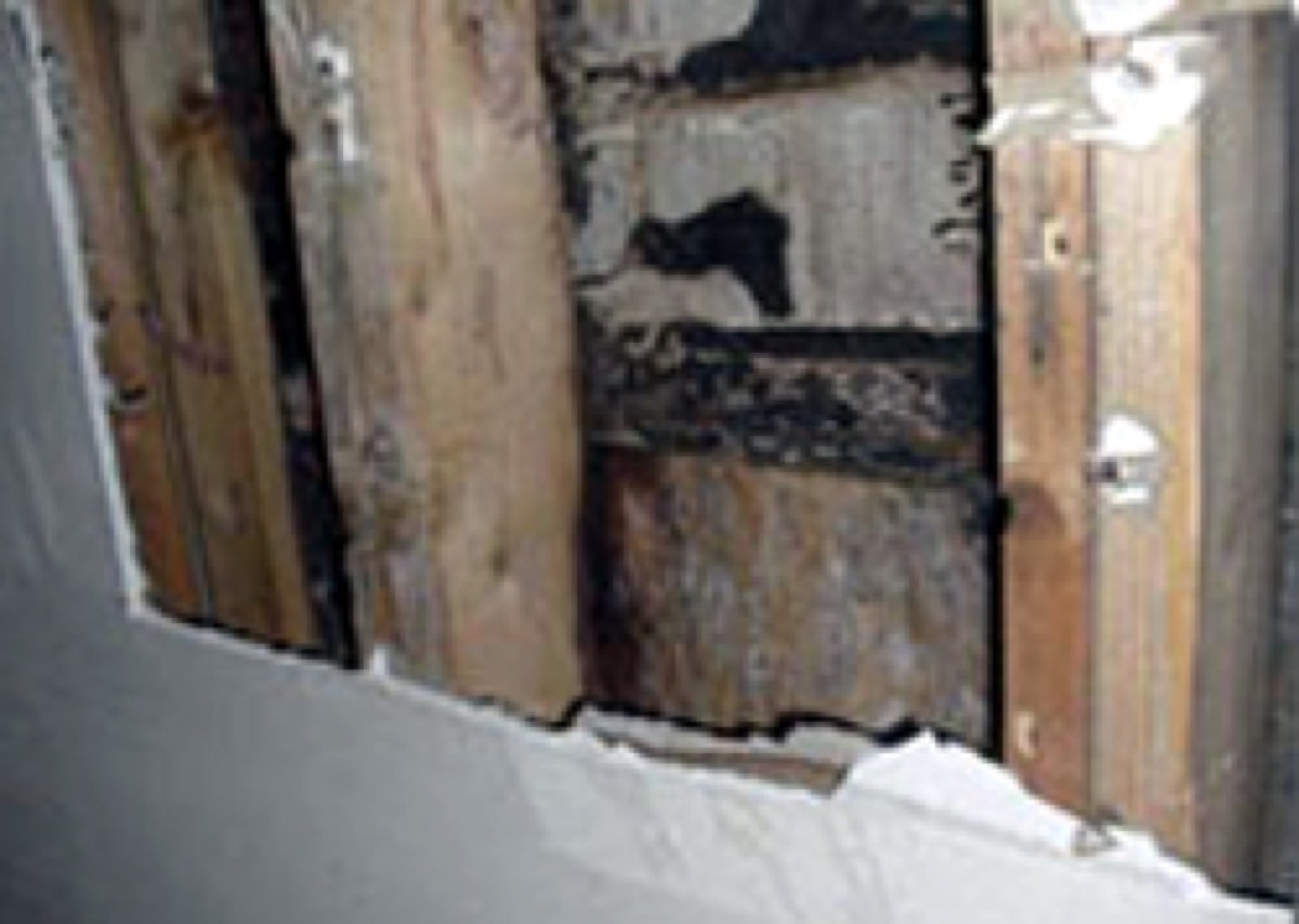 Home Inspections Plus Inc — photo 1