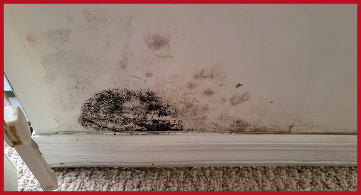 HomeSpec, LLC — photo 2