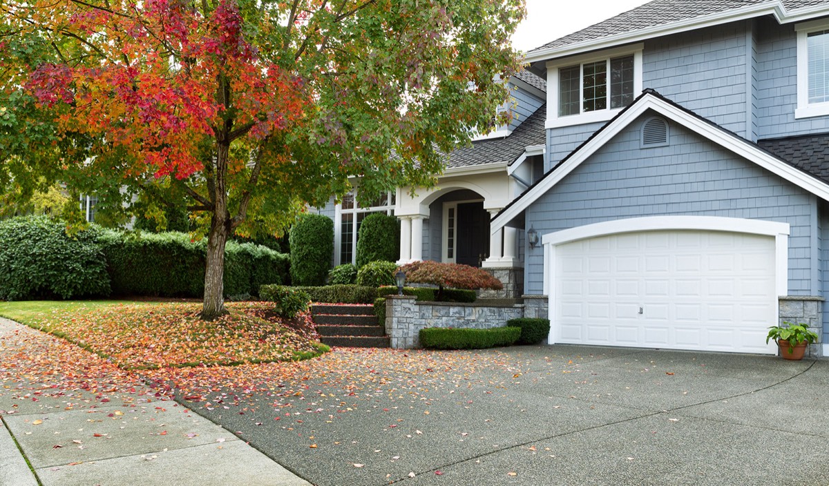 Ideal Property Inspections — photo 1