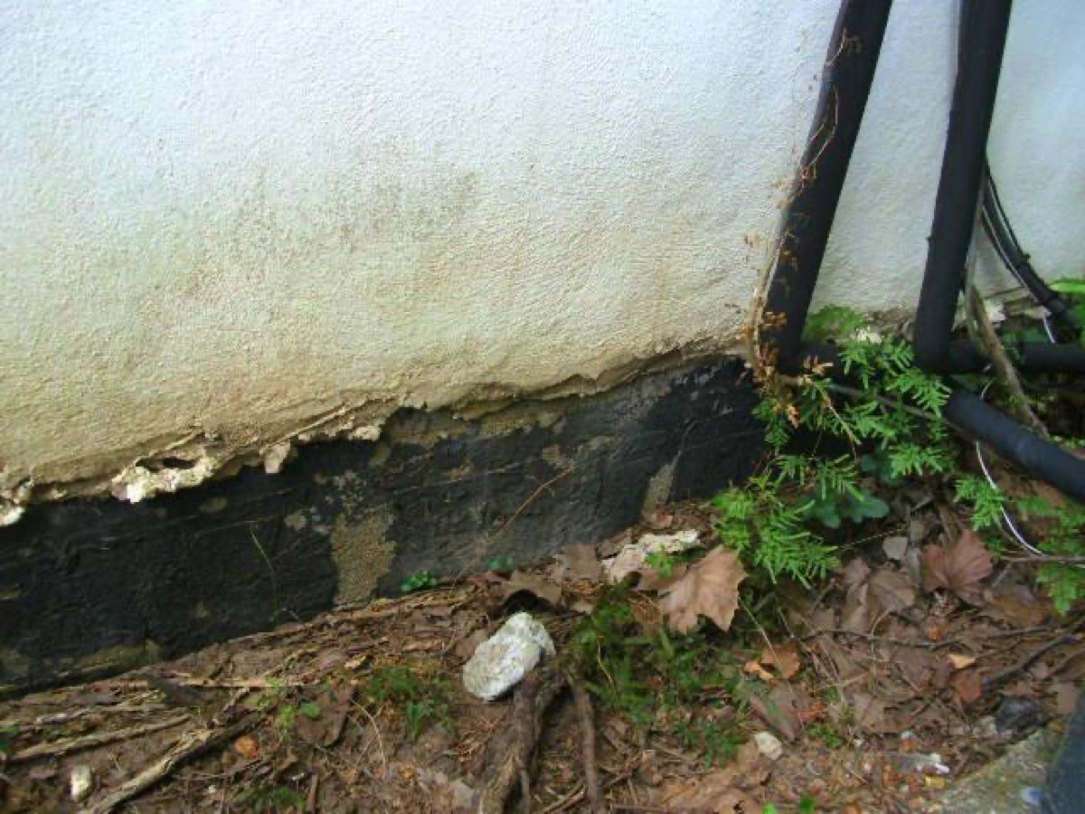 Indoor Environmental Management — photo 1