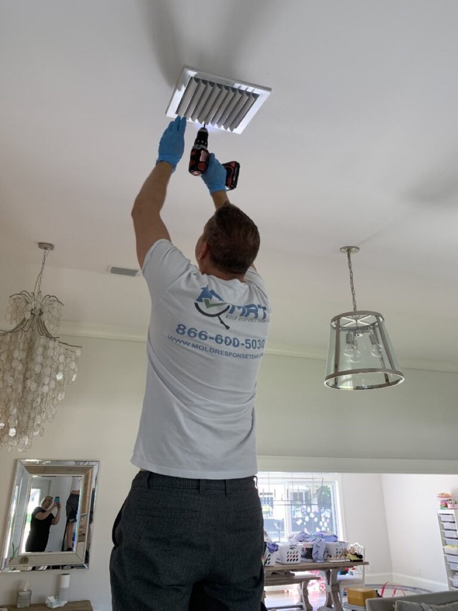 Mold Response Team — photo 2