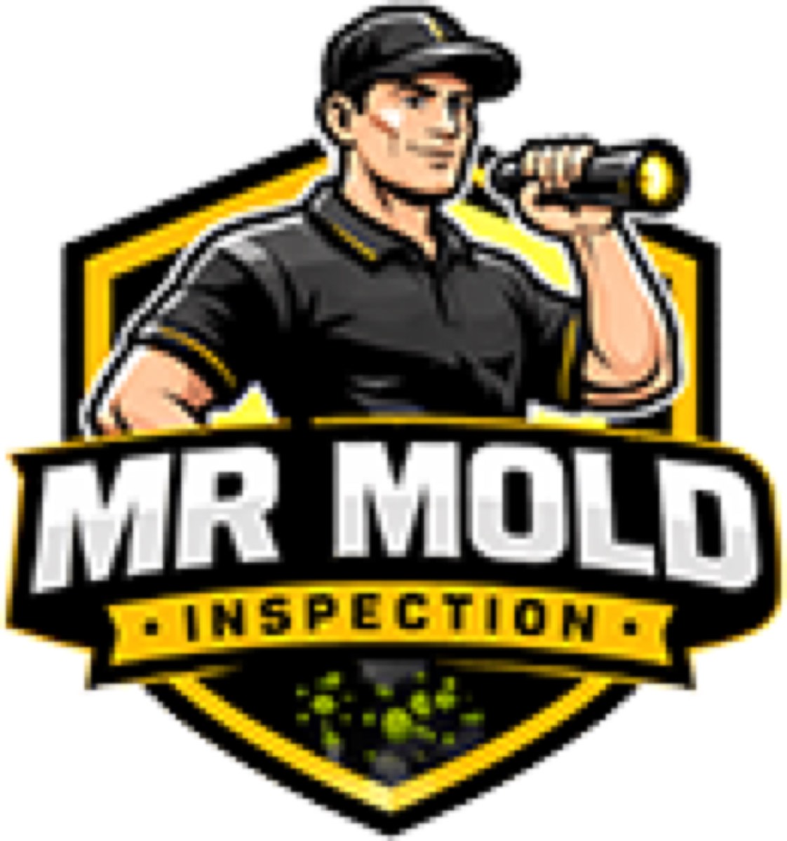 Mr Mold Inspection — photo 1