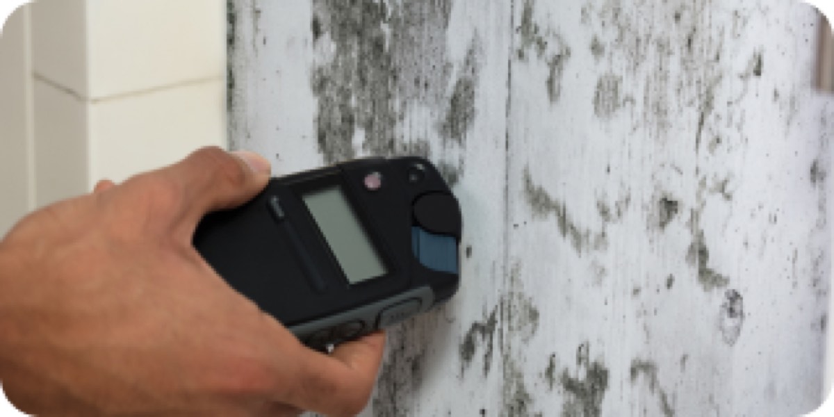 Pillar to Post Home Inspectors - Kristensen Team — photo 1