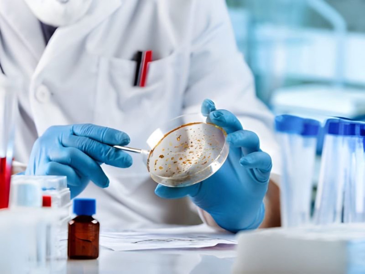 Pro Environmental Testing — photo 1