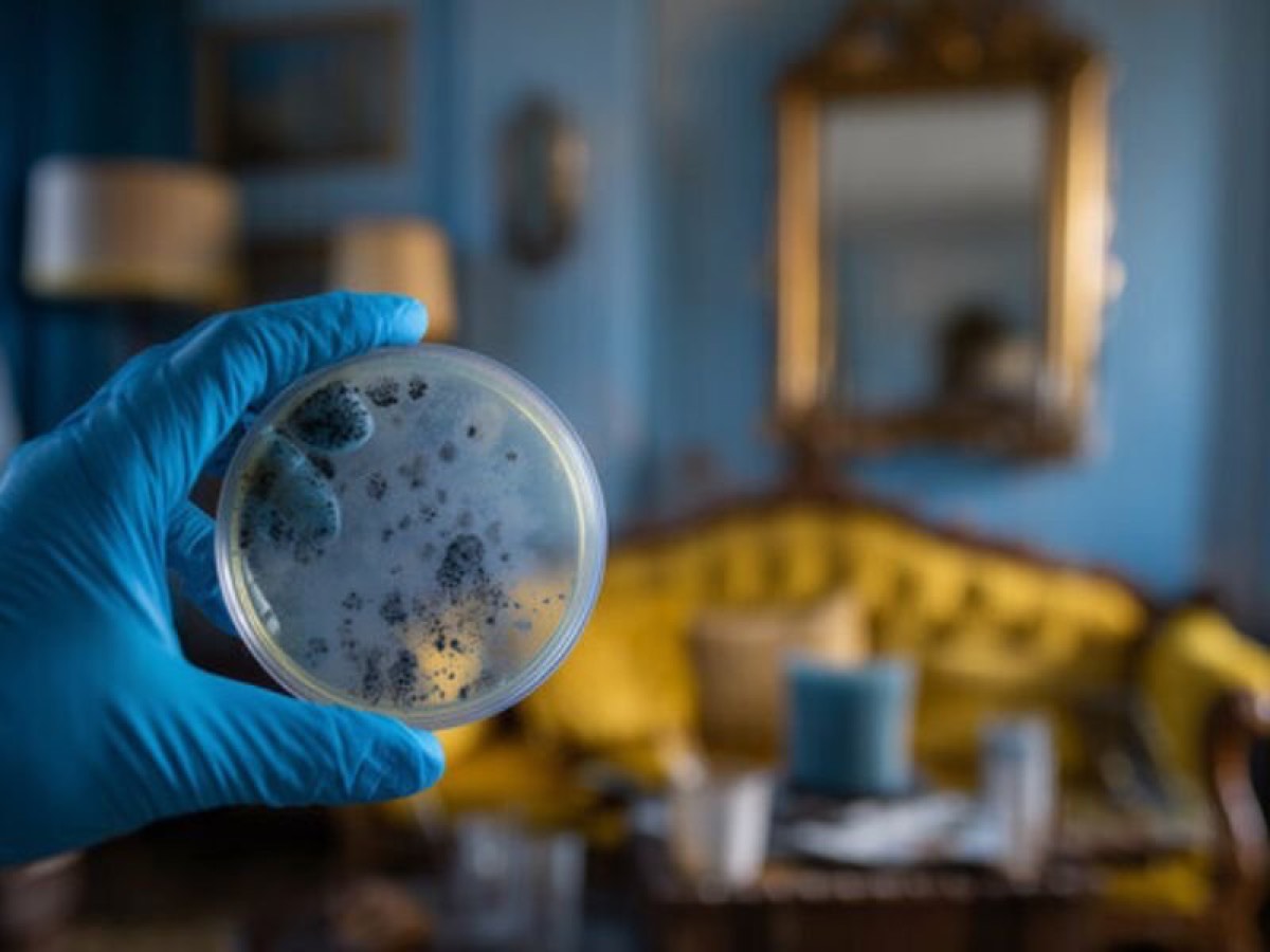 Pro Environmental Testing — photo 2