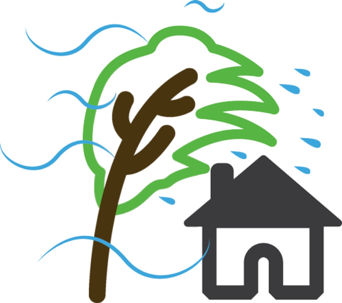 RCI Home and Mold Inspections, Inc. — photo 1