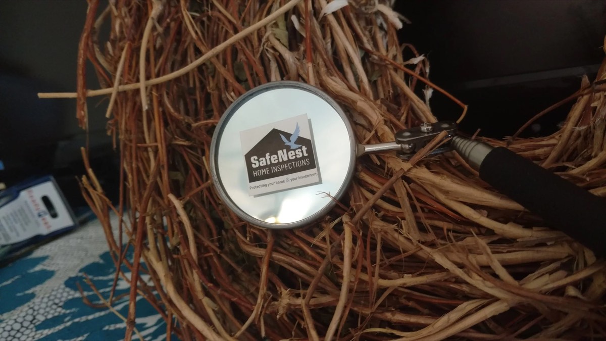 Safenest Home Inspections — photo 1