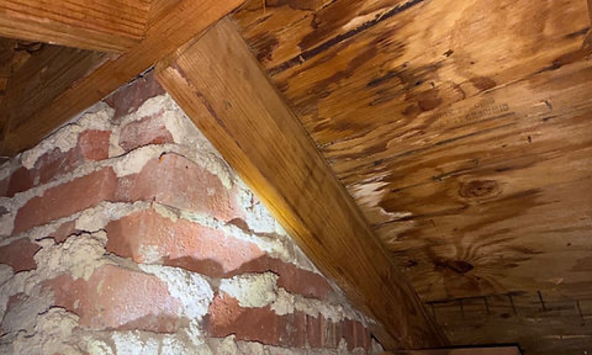 Superior Home Inspection — photo 2