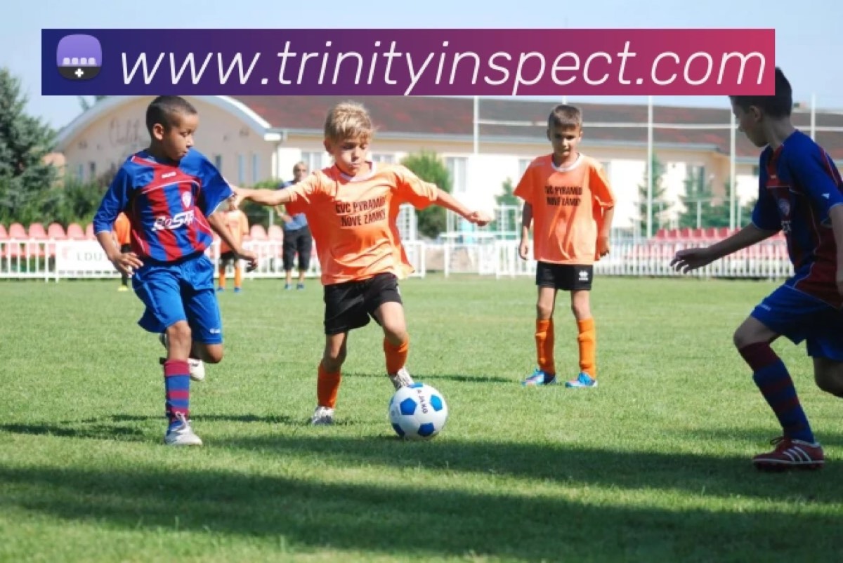 Trinity Inspection LLC — photo 1