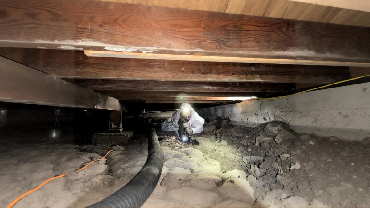 Under The House. — photo 2