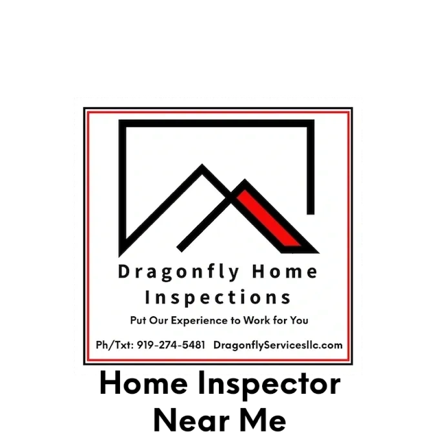 Dragonfly Home Inspections - Home Inspector Chapel Hill, Apex, Mebane, Hillsborough, Durham, NC logo