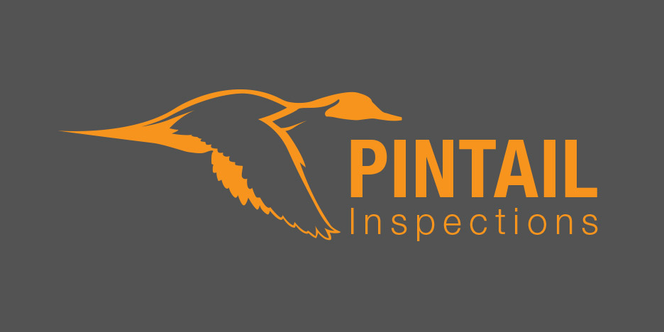 Pintail Inspection Services Inc. logo