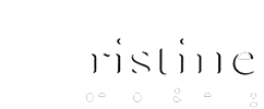 Pristine Inspections & Testing logo