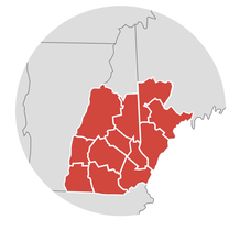 ProSpect logo