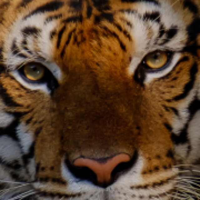 Tiger Home Inspection logo