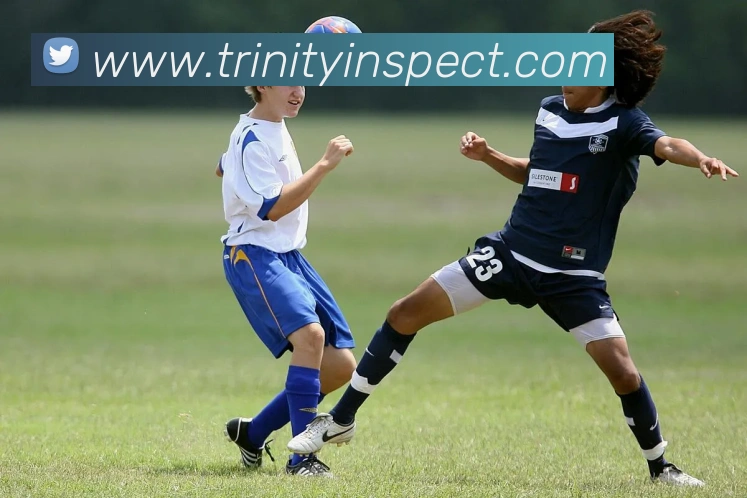 Trinity Inspection LLC logo