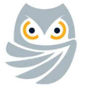 Wise Inspections logo